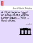 Image for A Pilgrimage to Egypt : An Account of a Visit to Lower Egypt ... with ... Illustrations.