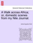 Image for A Walk Across Africa; Or, Domestic Scenes from My Nile Journal.