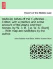 Image for Bedouin Tribes of the Euphrates ... Edited, with a Preface and Some Account of the Arabs and Their Horses, by W. S. B. [I.E. W. S. Blunt] ... with Map and Sketches by the Author. Vol. I.
