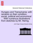 Image for Hungary and Transylvania; with remarks on their condition, social, political and economical ... With numerous illustrations from sketches by Mr. Hering. Vol. II.