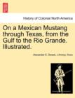 Image for On a Mexican Mustang through Texas, from the Gulf to the Rio Grande. Illustrated.