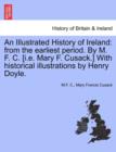 Image for An Illustrated History of Ireland