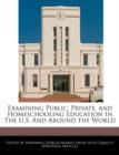 Image for Examining Public, Private, and Homeschooling Education in the U.S. and Around the World