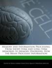 Image for Memory and Information Processing : From Short-Term and Long-Term Memories to Memory Disorders, How the Brain Processes Information