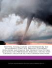 Image for Twisters, Funnel Clouds and Waterspouts