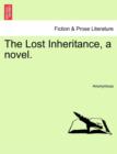 Image for The Lost Inheritance, a novel.