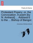 Image for Protestant Popery; Or, the Convocation. a Poem [By N. Amherst] ... Address&#39;d to the ... Bishop of Bangor.