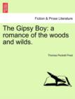 Image for The Gipsy Boy