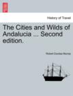 Image for The Cities and Wilds of Andalucia ... Second Edition, Vol. I