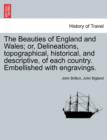 Image for The Beauties of England and Wales; or, Delineations, topographical, historical, and descriptive, of each country. Embellished with engravings. Vol. IX