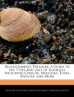 Image for Beachcomber&#39;s Treasure : A Guide to the Types and Uses of Seashells, Including Conchs, Mollusks, Tusks, Bivalves, and More