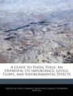 Image for A Guide to Fossil Fuels : An Overview, Its Importance, Levels, Flows, and Environmental Effects