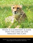 Image for What Is a Cheetah? a Look Into the Lives of the Smallest Big Cats