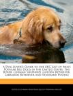 Image for A Dog Lover&#39;s Guide to the Akc List of Most Popular Big Dogs in the United States