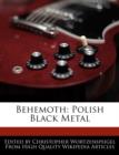 Image for Behemoth : Polish Black Metal