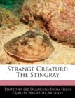 Image for Strange Creature : The Stingray
