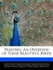 Image for Peafowl : An Overview of These Beautiful Birds