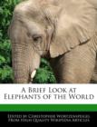 Image for A Brief Look at Elephants of the World