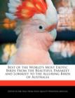 Image for Best of the World&#39;s Most Exotic Birds from the Beautiful Parakeet and Lorikeet to the Alluring Birds of Australia