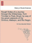 Image for Rough Notes of a Journey Through the Wilderness, from Trinidad to Para, Brazil, by Way of the Great Cataracts of the Orinoco, Atabapo, and Rio Negro.