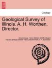 Image for Geological Survey of Illinois. A. H. Worthen, Director. Volume III.