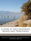 Image for A Look at the California Rivers and Tributaries