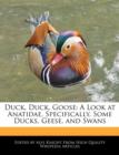 Image for Duck, Duck, Goose