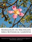 Image for Marigolds in Michigan