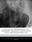 Image for A Guide to Nephrology : An Overview, Training, Conditions, Tests, Organizations, Etc.