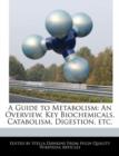 Image for A Guide to Metabolism : An Overview, Key Biochemicals, Catabolism, Digestion, Etc.