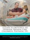 Image for A Guide to Obstetrics