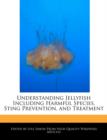 Image for Understanding Jellyfish Including Harmful Species, Sting Prevention, and Treatment