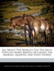 Image for All about the World&#39;s Top Ten Most Popular Horse Breeds Including the Arabian, Quarter, and Paint Horses