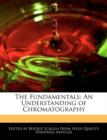 Image for The Fundamentals: An Understanding of Chromatography
