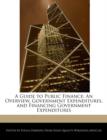 Image for A Guide to Public Finance