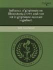 Image for Influence of Glyphosate on Rhizoctonia Crown and Root Rot in Glyphosate-Resistant Sugarbeet