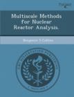 Image for Multiscale Methods for Nuclear Reactor Analysis