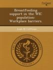 Image for Breastfeeding Support in the Wic Population: Workplace Barriers