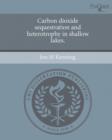 Image for Carbon dioxide sequestration and heterotrophy in shallow lakes.