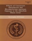 Image for Effects of Concurrent Phenathrene and Mycobacterium Marinum Exposure in the Zebrafish (Danio Rerio)