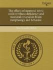 Image for The Effects of Neuronal Nitric Oxide Synthase Deficiency and Neonatal Ethanol on Brain Morphology and Behavior