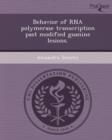 Image for Behavior of RNA Polymerase Transcription Past Modified Guanine Lesions