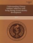 Image for Understanding Chinese Lesbians&#39; Subjective Well-Being During Sexual Identity Development