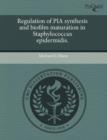 Image for Regulation of Pia Synthesis and Biofilm Maturation in Staphylococcus Epidermidis