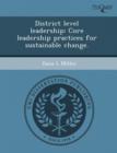 Image for District Level Leadership: Core Leadership Practices for Sustainable Change