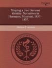 Image for Shaping a True German Identity: Narratives in Hermann