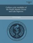 Image for Carbon Cycle Variability of the North Atlantic Ocean and Lake Superior