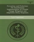 Image for Prevention and Protection: The Simultaneous Implementation of Climate Change Mitigation and Adaptation Policy Responses