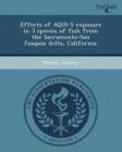 Image for Effects of Aqui-S Exposure in 3 Species of Fish from the Sacramento-San Joaquin Delta