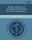 Image for Image Analysis of Circulating Fluidized Bed Hydrodynamics